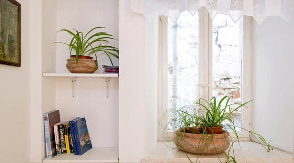 דוברובניק Old Town E Apartments חדר תמונה